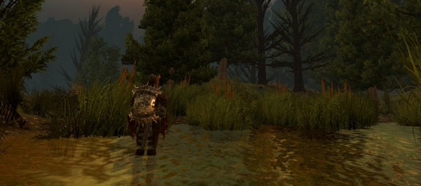The Wilds